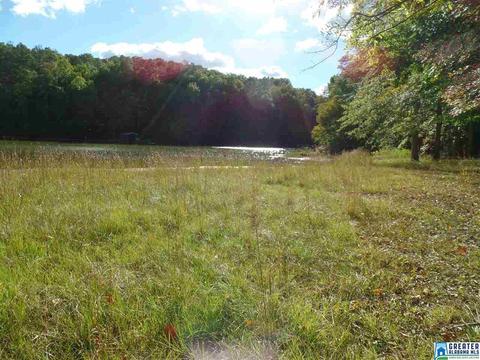 269 Arrowhead Dr, Delta, AL 36258 photo 14