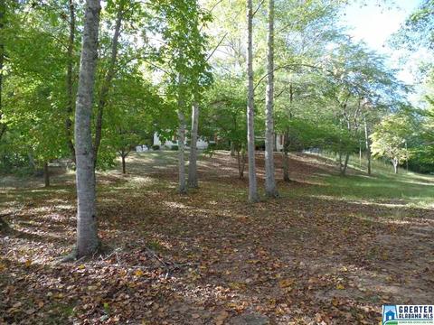 269 Arrowhead Dr, Delta, AL 36258 photo 25
