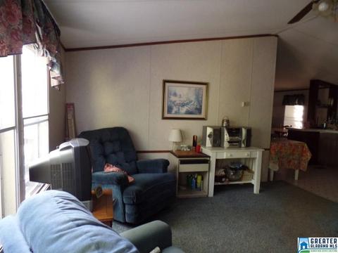 269 Arrowhead Dr, Delta, AL 36258 photo 29