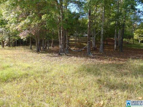 269 Arrowhead Dr, Delta, AL 36258 photo 43