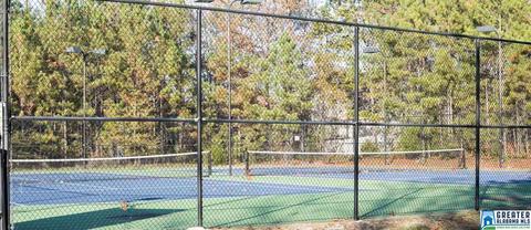 1068 Grande View Pass, Maylene, AL 35114 photo 50
