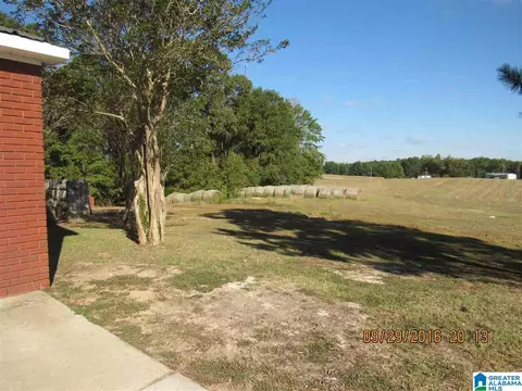 6980 County Road 37, Clanton, AL 35045 photo 20