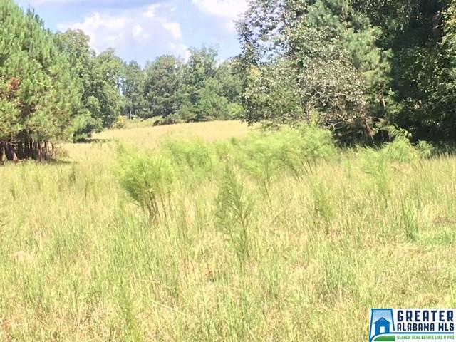 3215 County Road 258, Five Points, AL 36855 photo 22