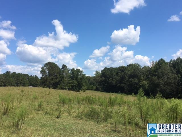 3215 County Road 258, Five Points, AL 36855 photo 24