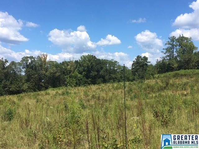 3215 County Road 258, Five Points, AL 36855 photo 20