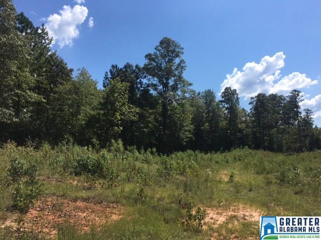 3215 County Road 258, Five Points, AL 36855 photo 19