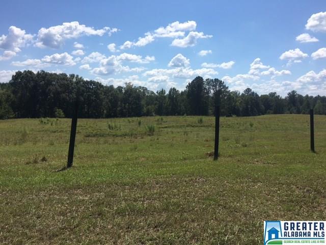 3215 County Road 258, Five Points, AL 36855 photo 16