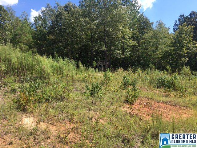 3215 County Road 258, Five Points, AL 36855 photo 18