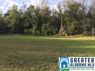45 Eugene St, Jemison, AL 35085 photo 32