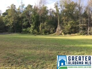 45 Eugene St, Jemison, AL 35085 photo 31