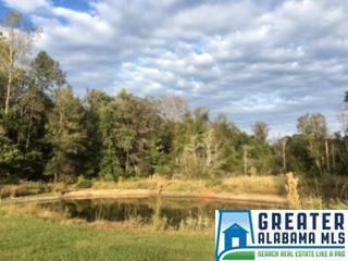 45 Eugene St, Jemison, AL 35085 photo 29