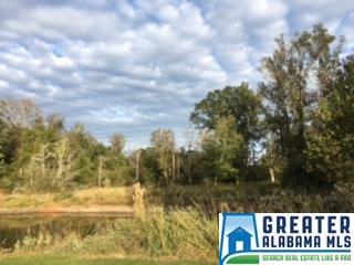 45 Eugene St, Jemison, AL 35085 photo 30
