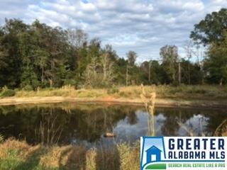 45 Eugene St, Jemison, AL 35085 photo 28