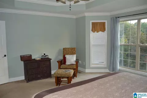260 Hayfield Loop, Dora, AL 35062 photo 19