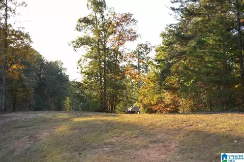 260 Hayfield Loop, Dora, AL 35062 photo 40