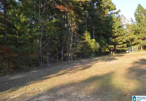 260 Hayfield Loop, Dora, AL 35062 photo 41