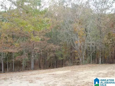 2040 County Road 40, Fruithurst, AL 36262 photo 29