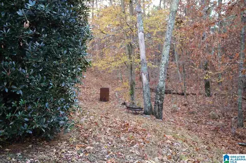 1463 Ridgewood Dr, Remlap, AL 35133 photo 18