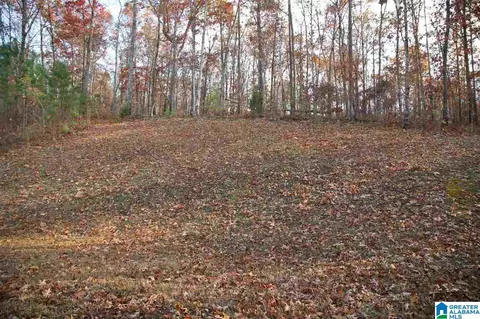 1463 Ridgewood Dr, Remlap, AL 35133 photo 17