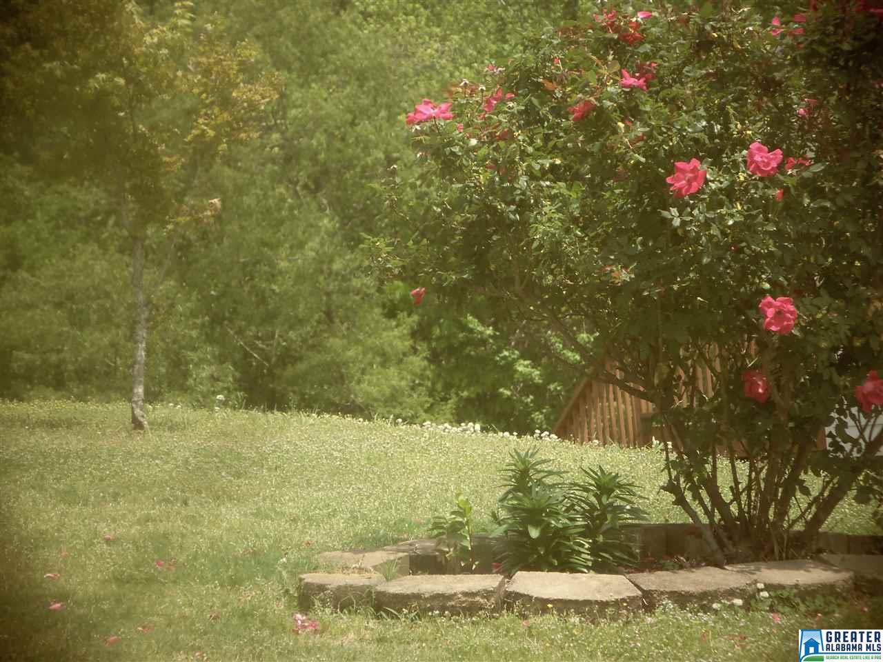 416 Miranda Rd, Warrior, AL 35180 photo 5