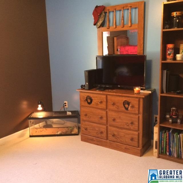 416 Miranda Rd, Warrior, AL 35180 photo 21