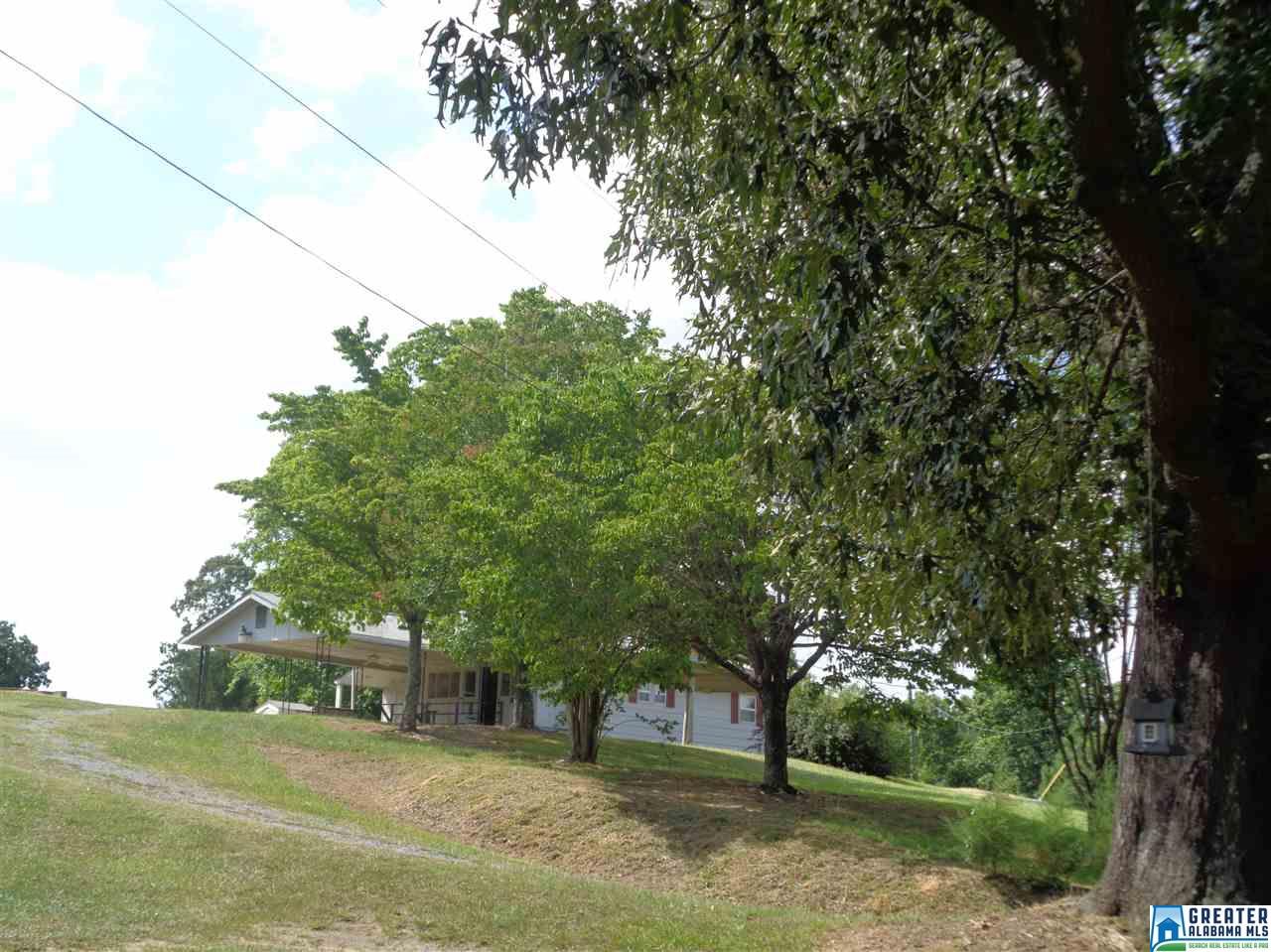 199 Skyline Cir, Jasper, AL 35501 photo 15