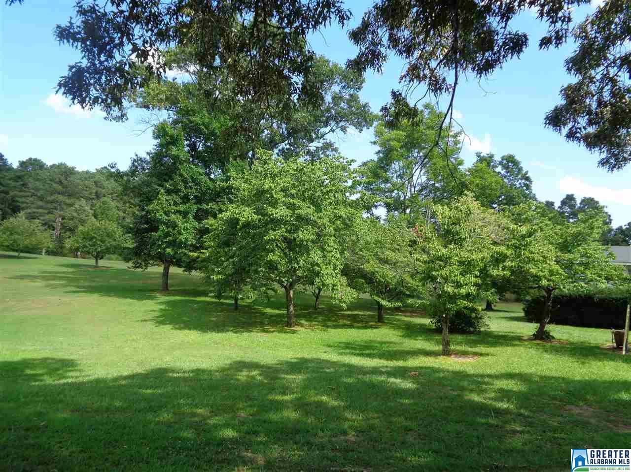 199 Skyline Cir, Jasper, AL 35501 photo 20