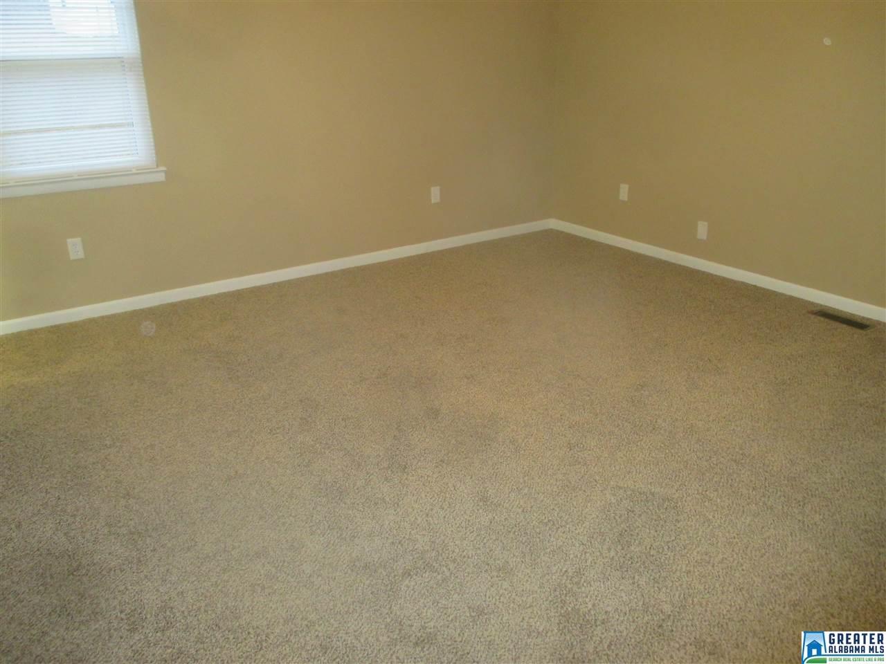 315 Bryan Ln, Warrior, AL 35180 photo 19