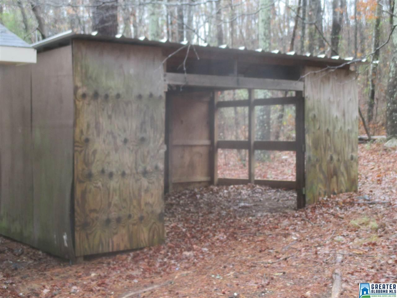 315 Bryan Ln, Warrior, AL 35180 photo 10