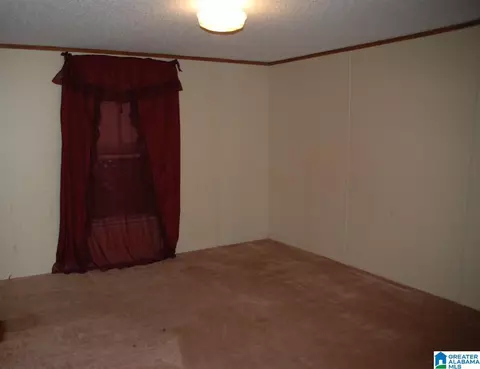 96 Wilson Rd, Warrior, AL 35180 photo 14
