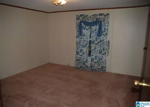 96 Wilson Rd, Warrior, AL 35180 photo 16