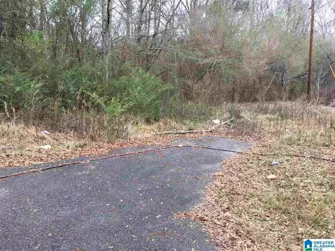 100 Shack Ave, Montevallo, AL 35115 photo 2