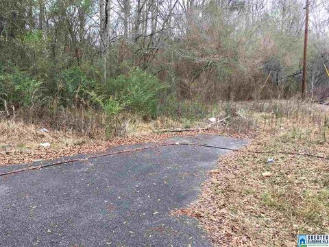 100 Shack Ave, Montevallo, AL 35115 photo 2