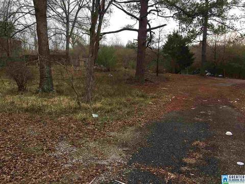 100 Shack Ave, Montevallo, AL 35115 photo 3