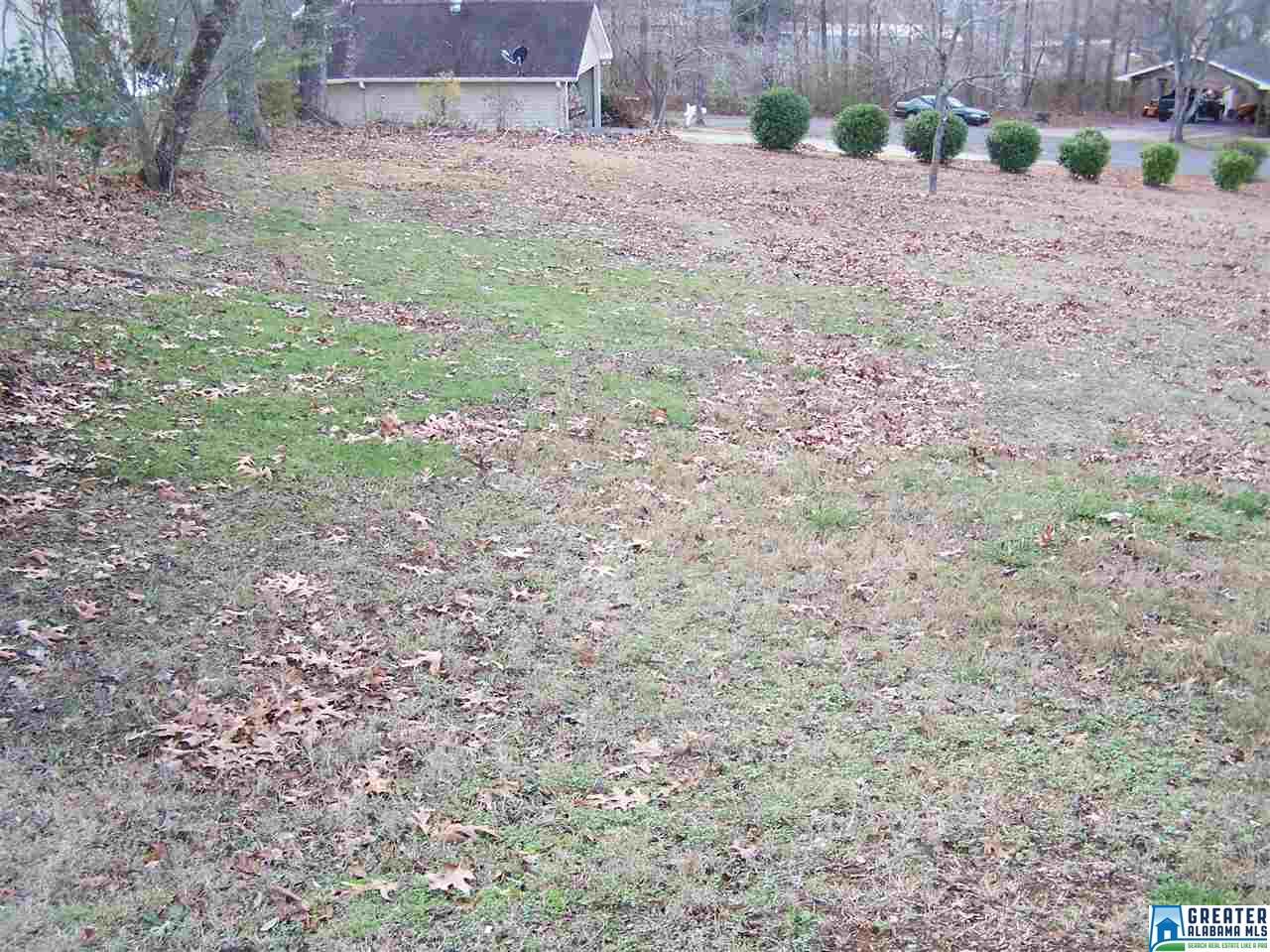 703 Ridgeway Dr, Oneonta, AL 35121 photo 5