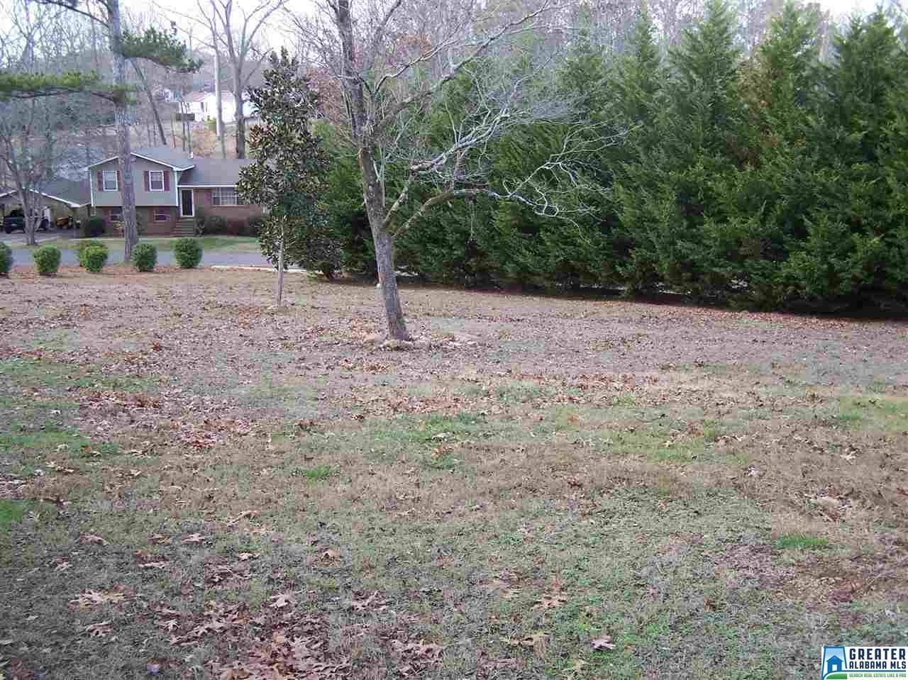 703 Ridgeway Dr, Oneonta, AL 35121 photo 4