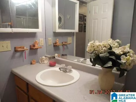 298 5th St E, Fruithurst, AL 36262 photo 11