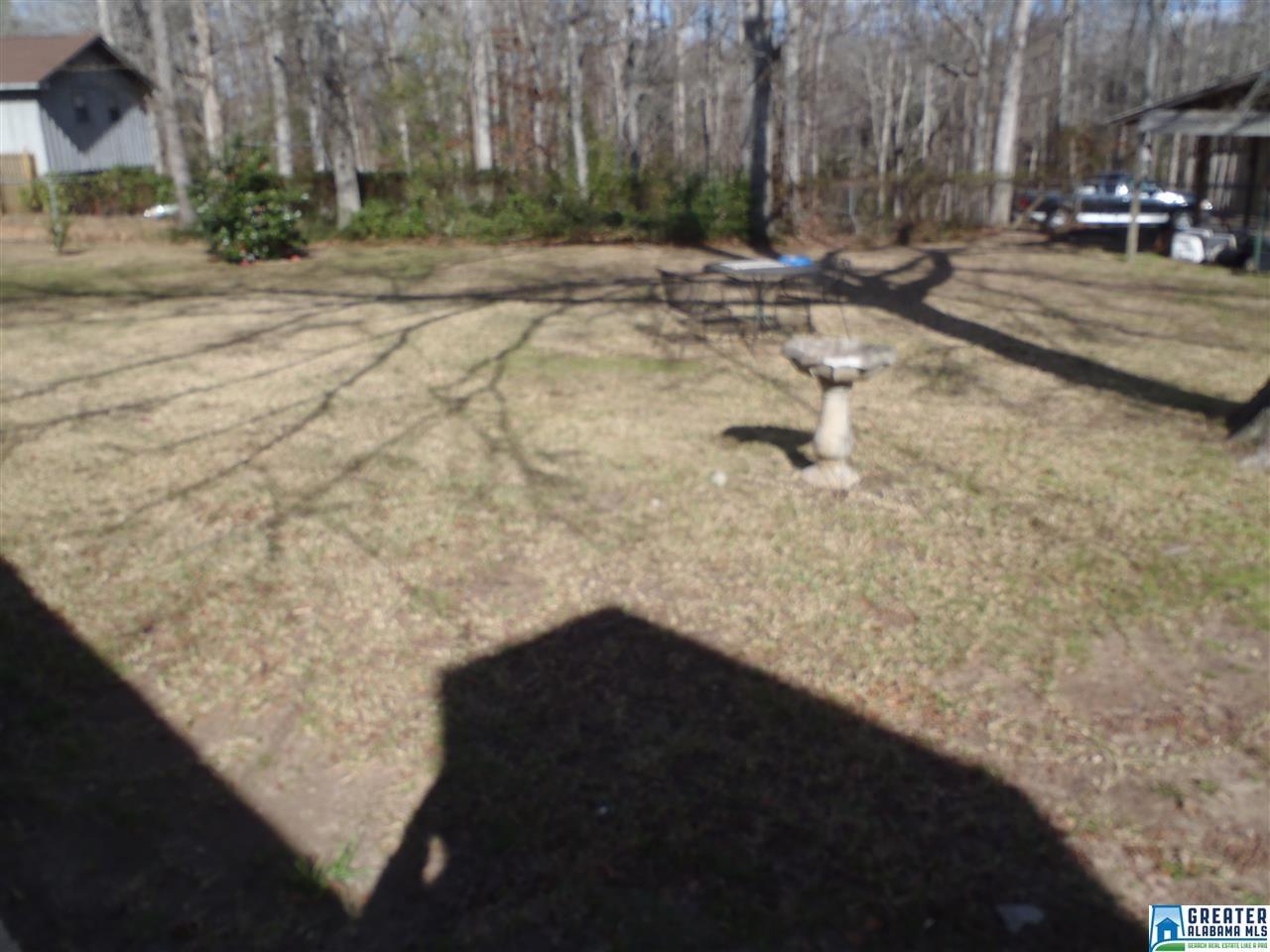 111 Shenandoah Dr, Clanton, AL 35045 photo 9