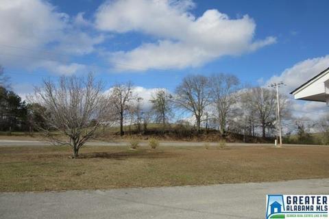 7023 County Road 9, Clanton, AL 35045 photo 40