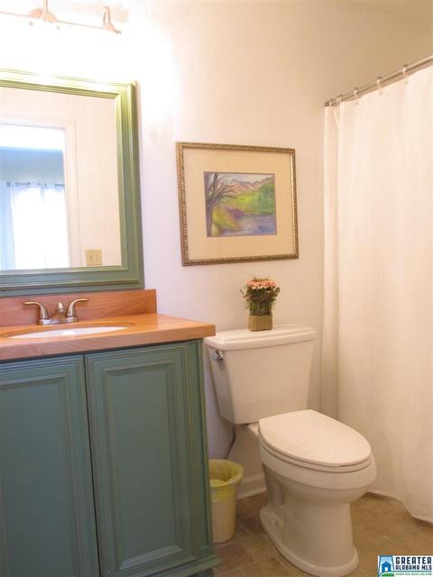 367 County Road 534, Centre, AL 35960 photo 33