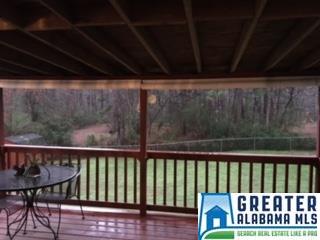 5316 Memory Ln, Mount Olive, AL 35117 photo 16