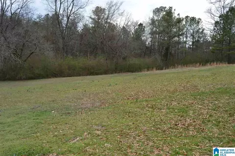 8858 Central Rd, Warrior, AL 35180 photo 22