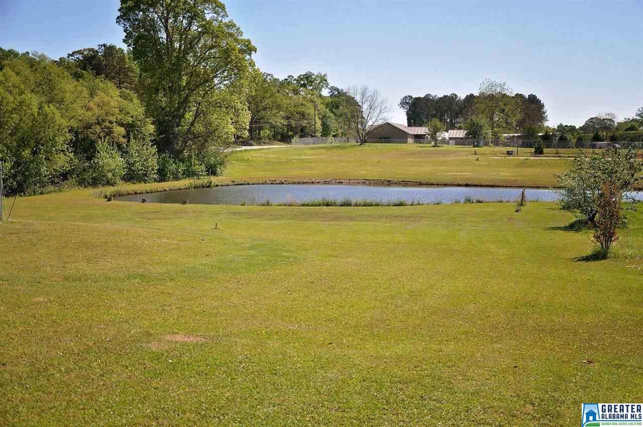 33 County Road 839, Clanton, AL 35045 photo 8
