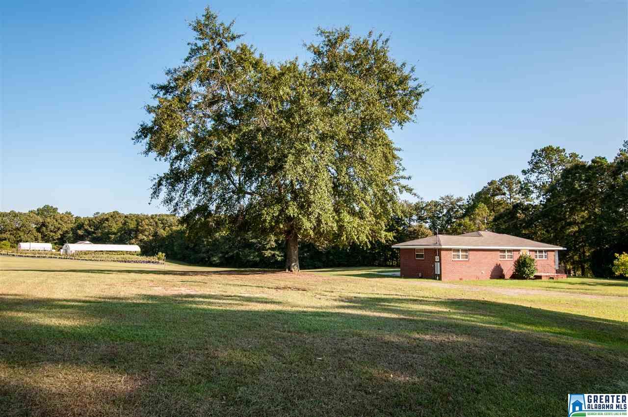 98 County Road 271, Clanton, AL 35045 photo 17