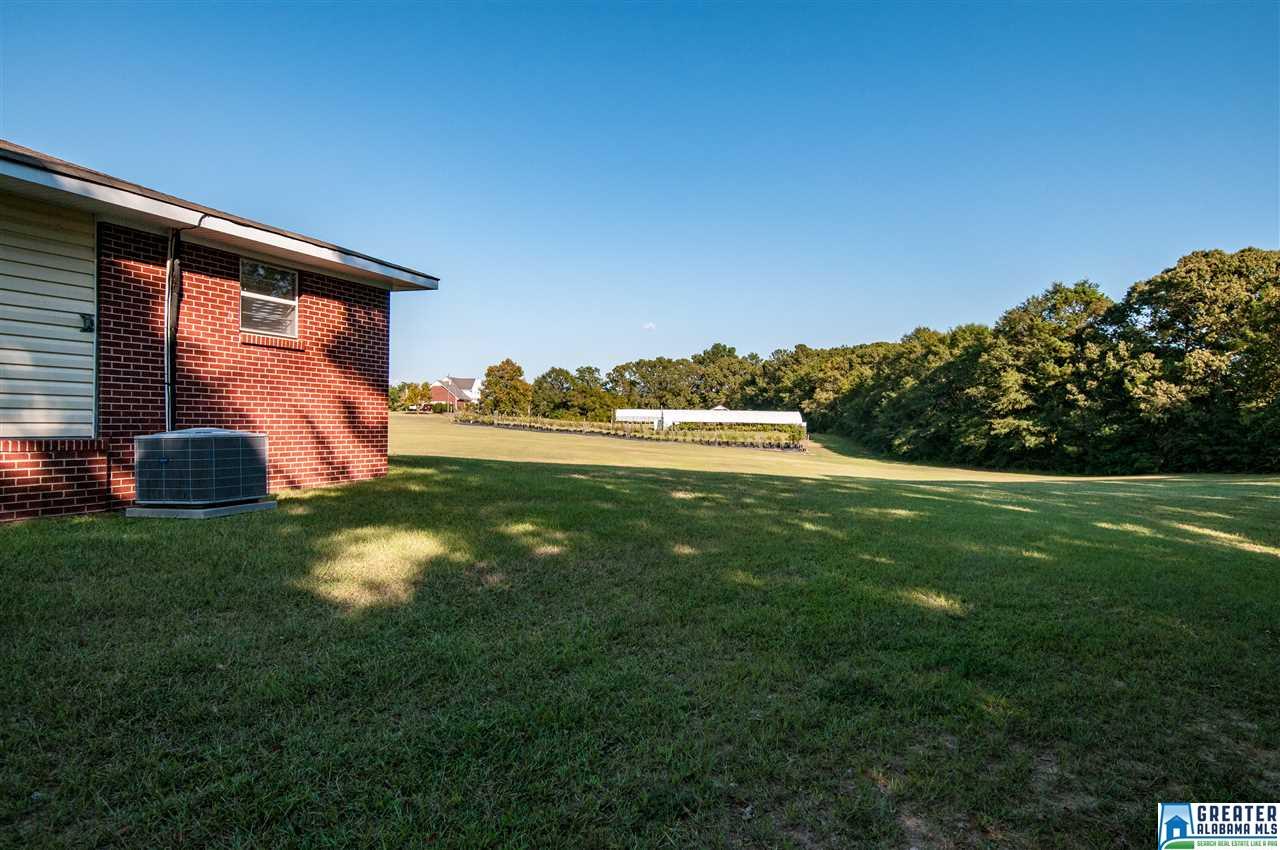 98 County Road 271, Clanton, AL 35045 photo 18
