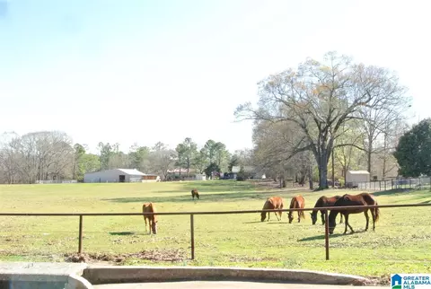 511 Tecumseh St, Montevallo, AL 35115 photo 41