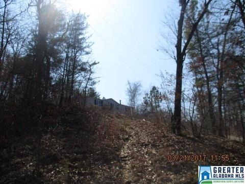 1005 Armstrong Rd, Remlap, AL 35133 photo 1
