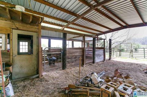 1701 Red Valley Rd, Remlap, AL 35133 photo 34