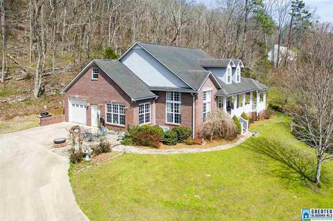 1701 Red Valley Rd, Remlap, AL 35133 photo 50