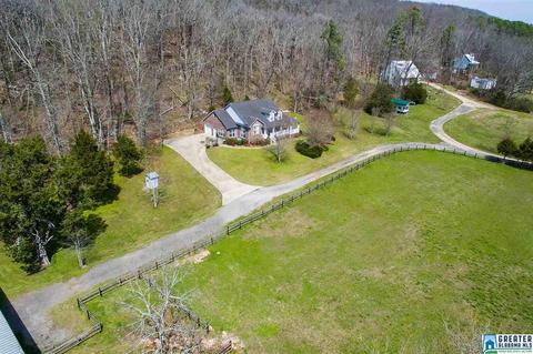 1701 Red Valley Rd, Remlap, AL 35133 photo 42